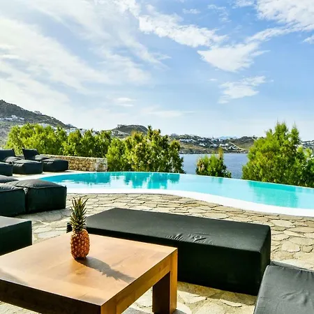 Villa Phoenix Mykonos *